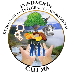 Caluma Comprehensive Development and Social Protection Foundation 
