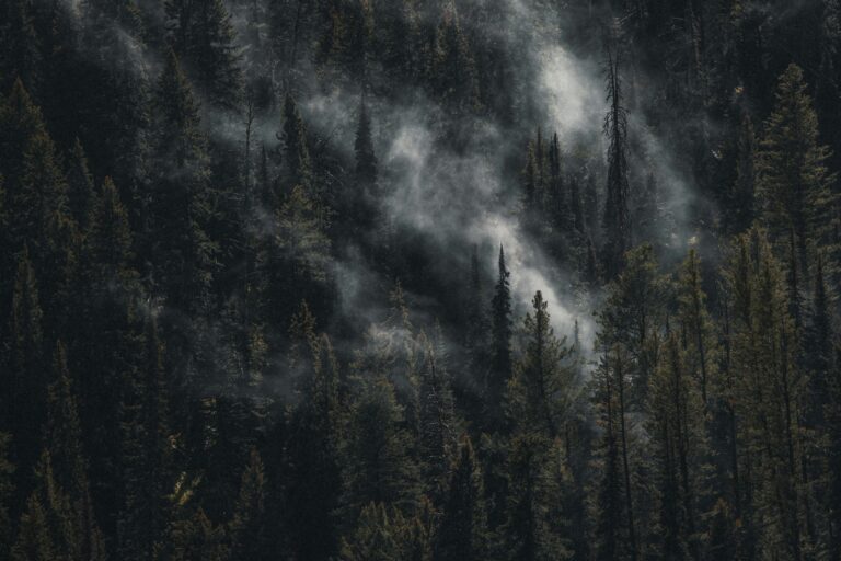 Understanding the health impacts of the climate crisis