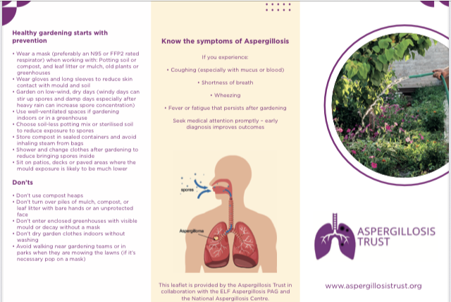 Enjoying your garden safely with aspergillosis