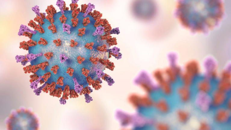 New EU project aims to create first breathable treatment for Nipah virus