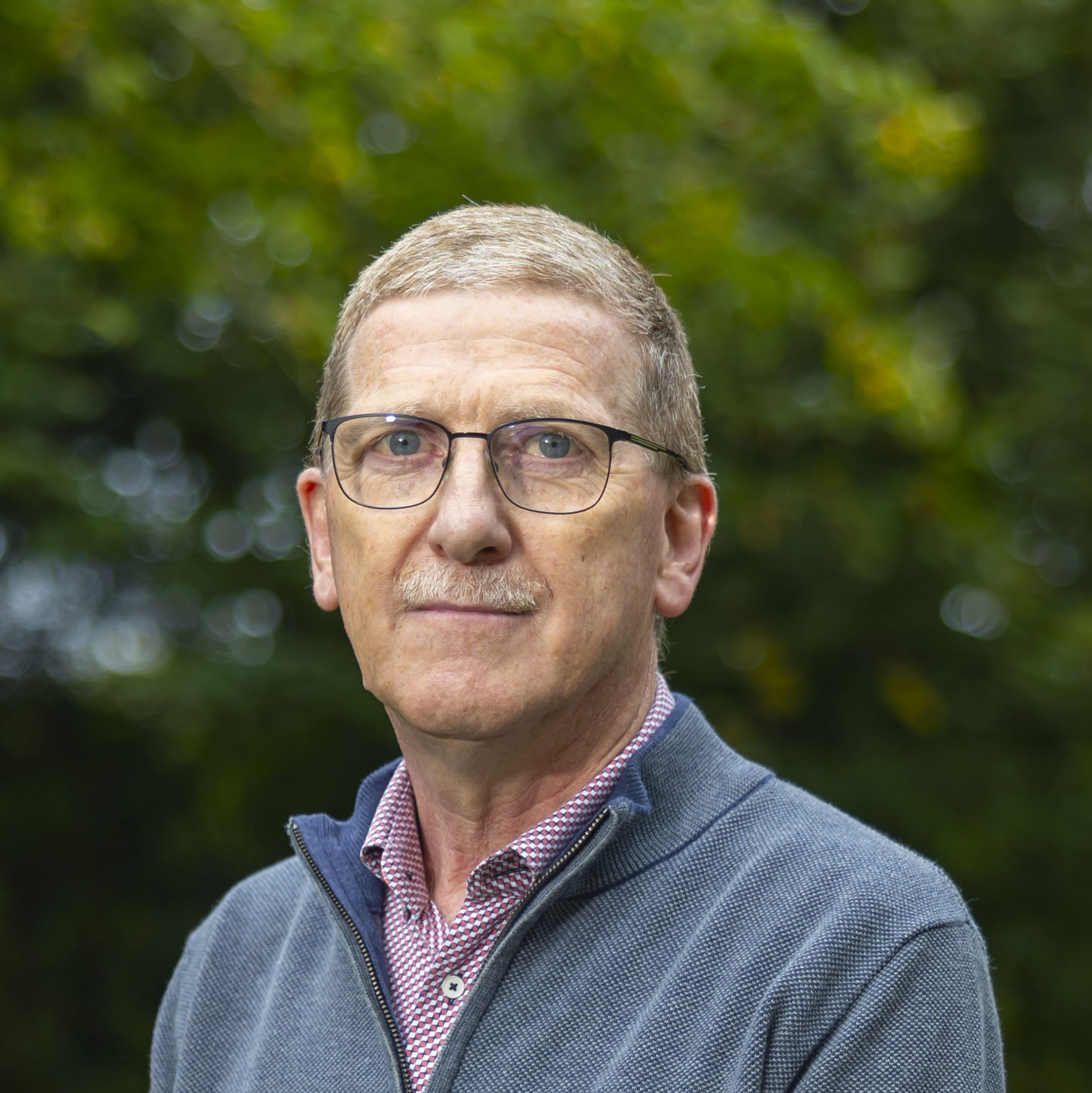 Tom Bermingham - profile image
